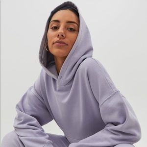 Aritzia TNA Cropped Boyfriend Hoodie